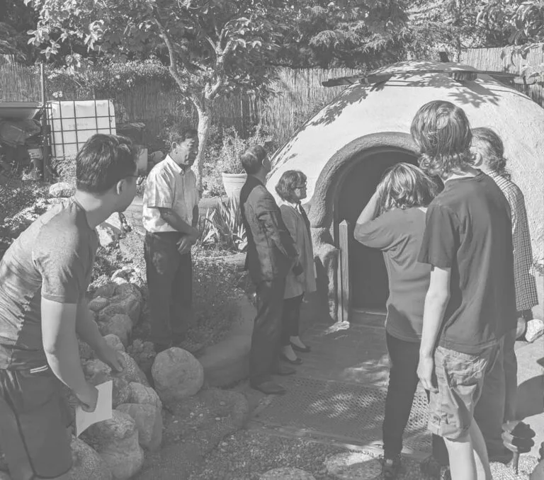 Backyards as Forests for Food and Beauty: An Urbanite Manifesto for Earth Day 2023, Inspired by the Work of A. N. Whitehead by Sung Sohn