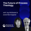 The Future of Process Philosophy with Jay McDaniel - Conversations in Process