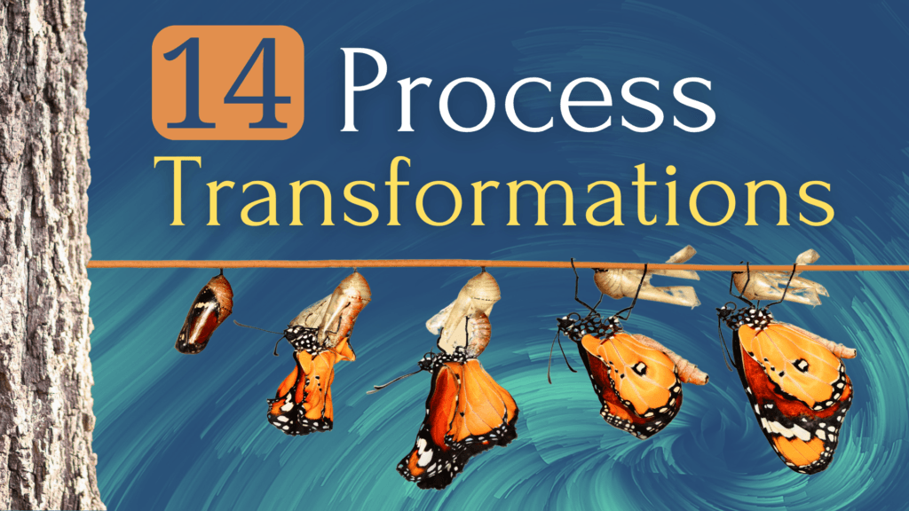 14 Process Transformations