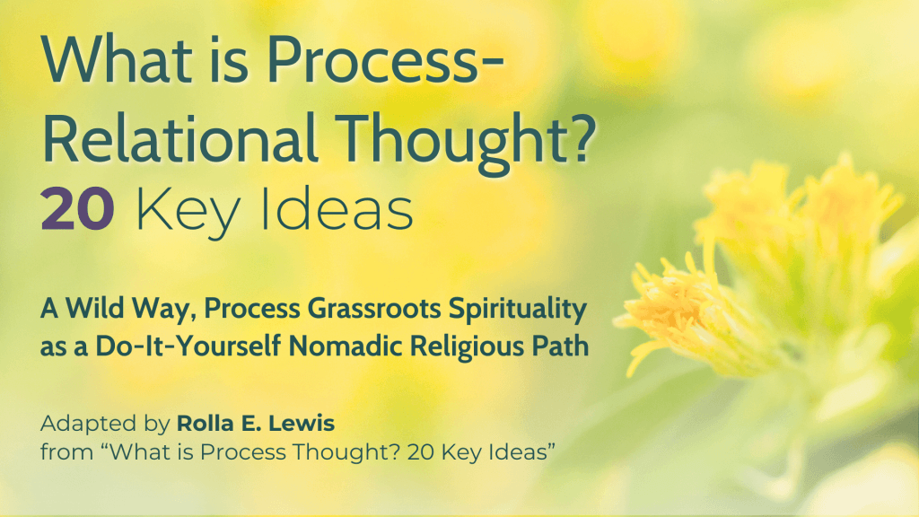 What is Process-Relational Thought? 20 Key Ideas - Rolla Lewis
