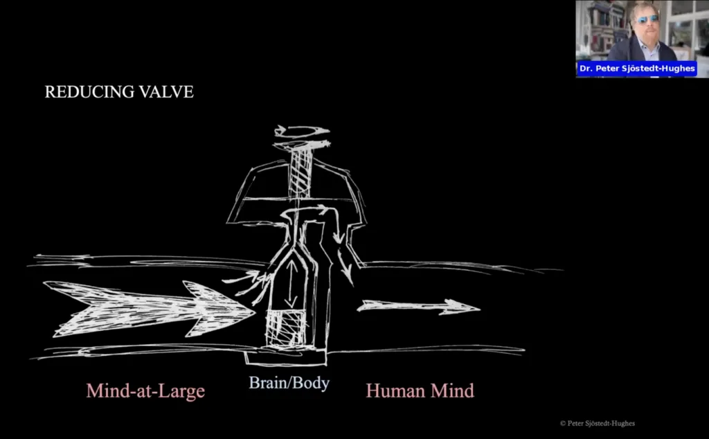 Mind-at-Large Project - A New Dawn Conference - Peter Sjöstedt-Hughes - Mind-at-Large: Etymology and Cosmology - Center for Process Studies