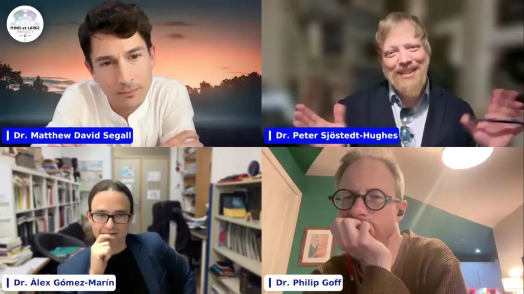 Mind-at-Large Project - A New Dawn Conference - Panel Discussion - Matt Segall, Peter Sjöstedt-Hughes, Àlex Gomez-Marin, Philip Goff