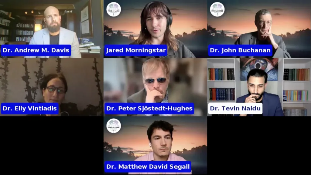 Mind-at-Large Project - A New Dawn Conference - Final Panel Discussion - Peter Sjöstedt-Hughes, Matt Segall, Elly Vintiadis, Jared Morningstar, John Buchanan, and Tevin Naidu, moderated by Andrew M. Davis - Center for Process Studies