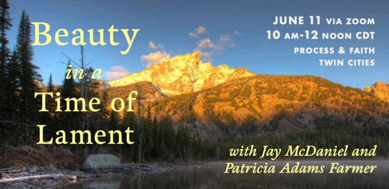 Beauty in a Time of Lament with Jay McDaniel and Patricia Adams Farmer - Process & Faith Twin Cities - Center for Process Studies