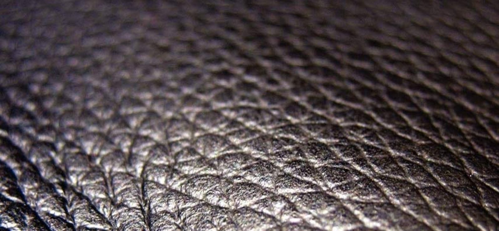 Butler on Whitehead On the Occasion