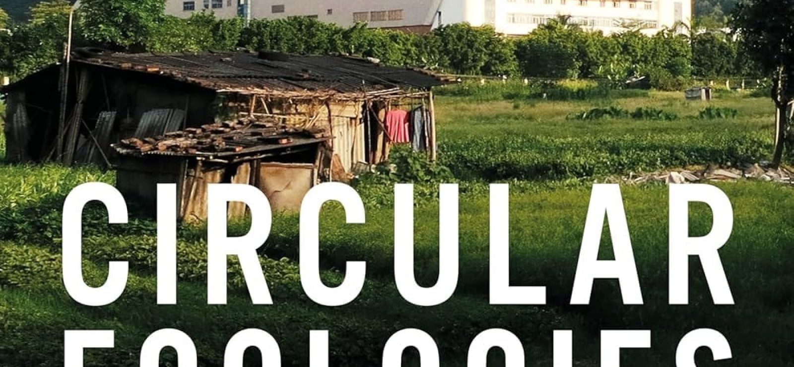 Circular Ecologies: Environmentalism and Waste Politics in Urban China by Amy Zhang