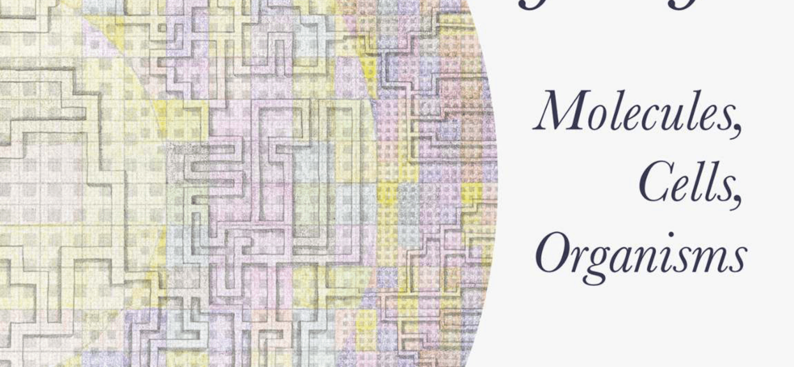 Drawing Processes of Life - Molecules, Cells, Organisms