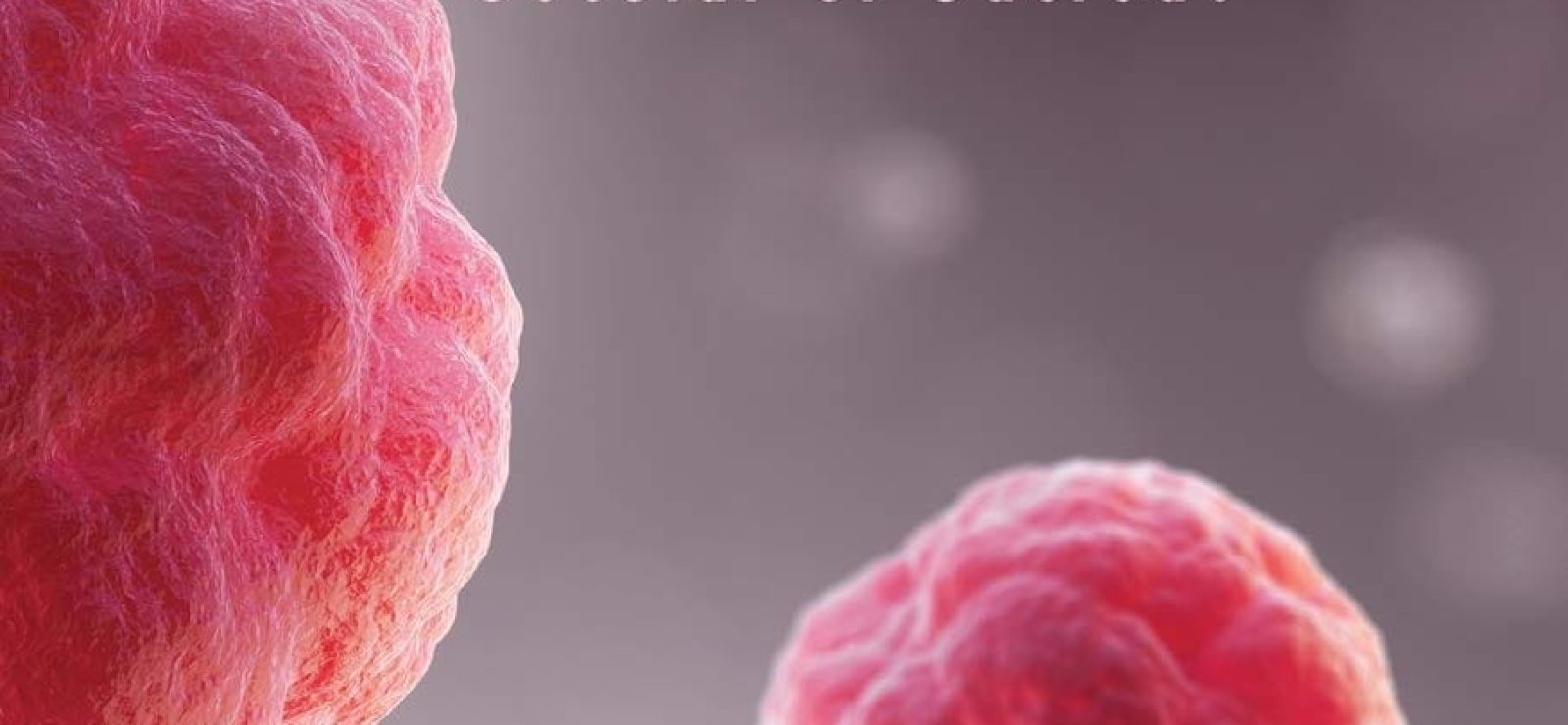 Evolution Secular or Sacred?