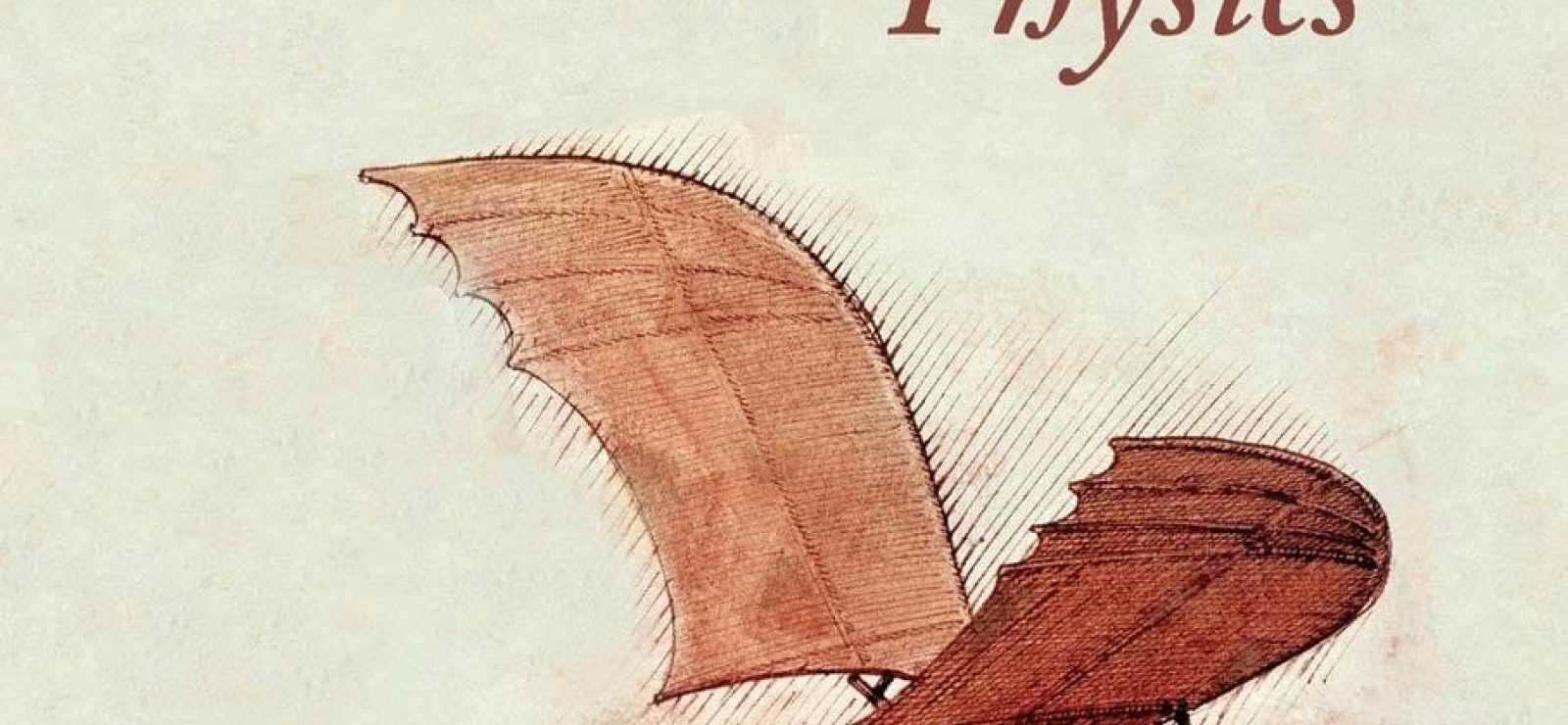 Intuition in Mathematics and Physics: A Whiteheadian Approach by Ronny Desmet