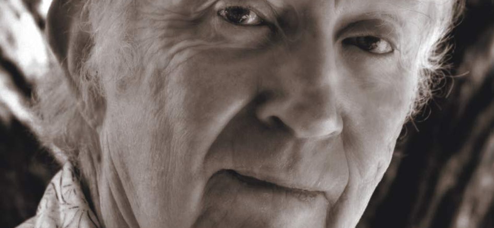 Jesus Abba The God Who Has Not Failed