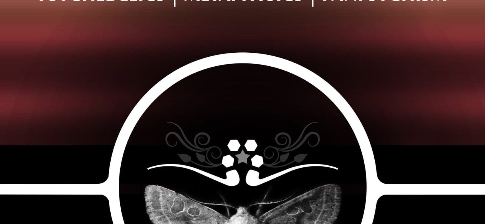 Modes of Sentience Psychedelics, Metaphysics, Panpsychism