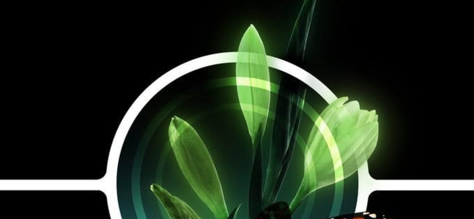 Noumenautics: Metaphysics - Meta-Ethics - Psychedelics by Peter Sjöstedt-Hughes