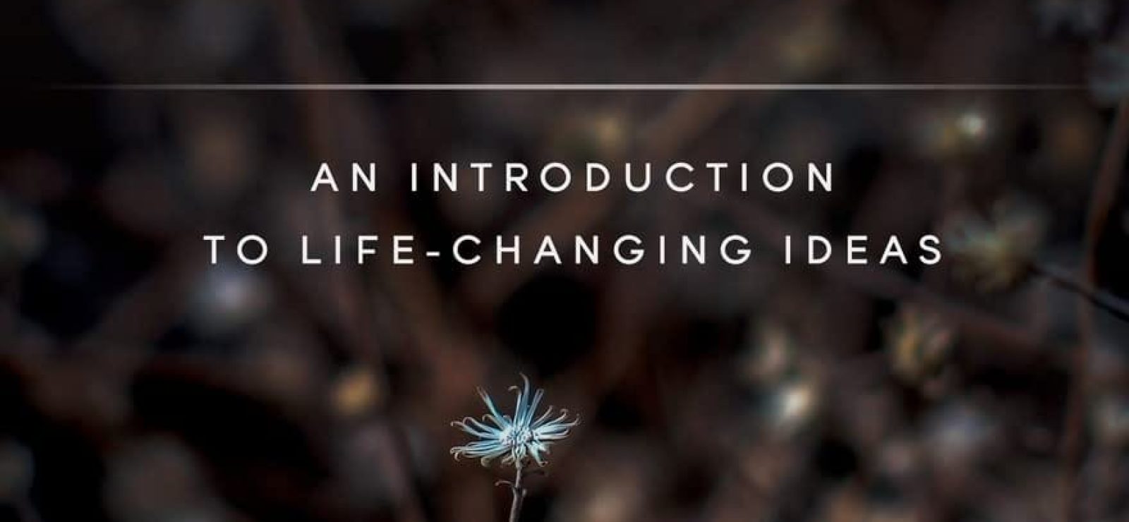 Open and Relational Theology An Introduction to Life-Changing Ideas