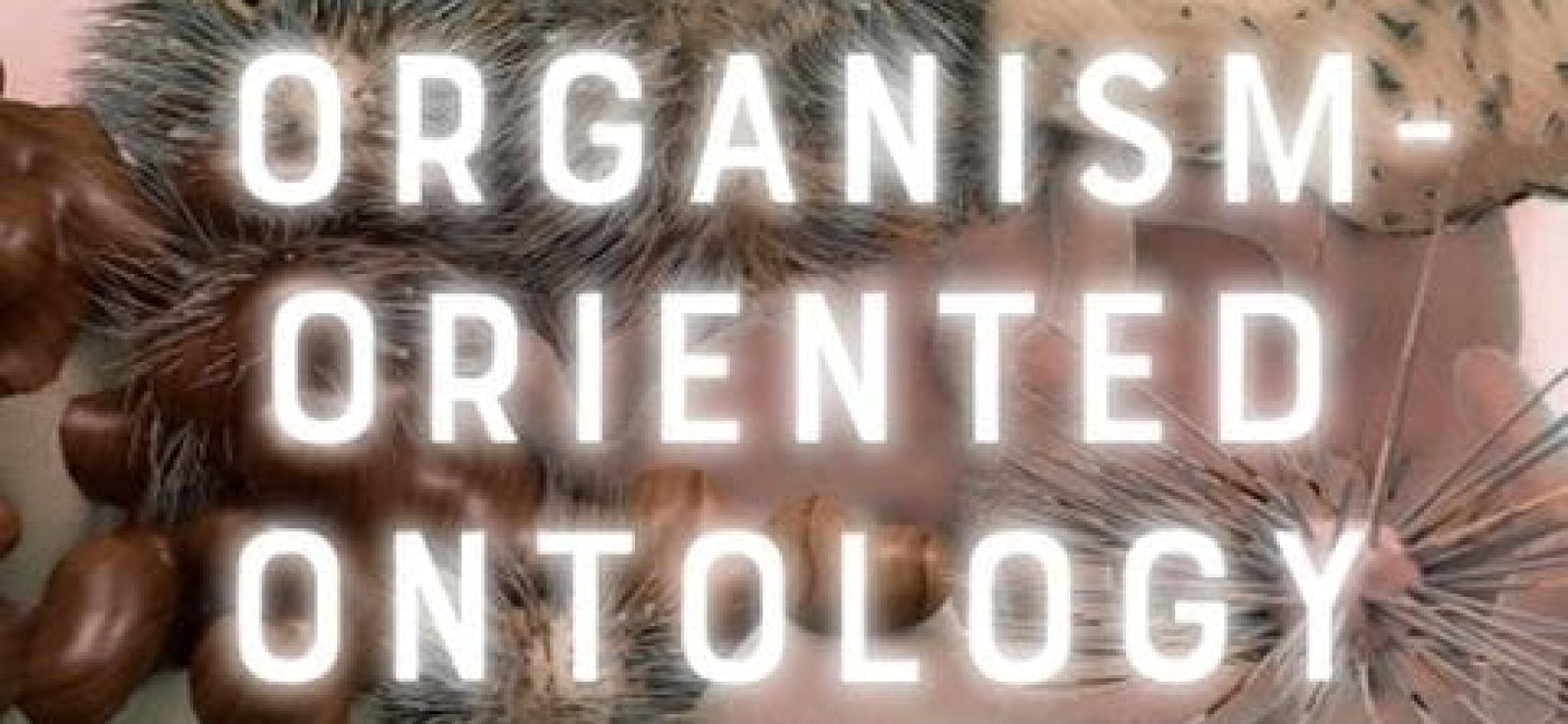 Organism-Oriented Ontology by Audronė Žukauskaitė