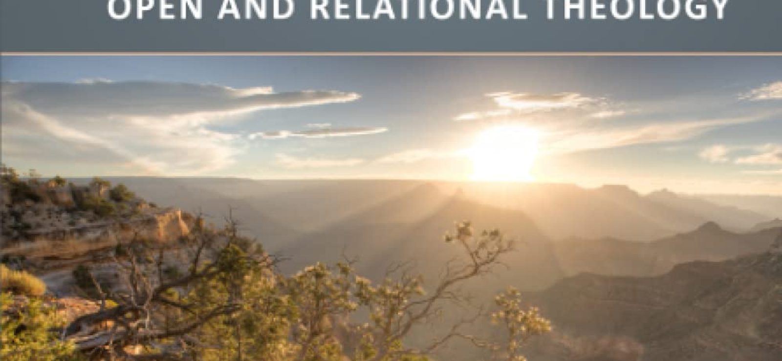 Partnering with God Exploring Collaboration in Open and Relational Theology