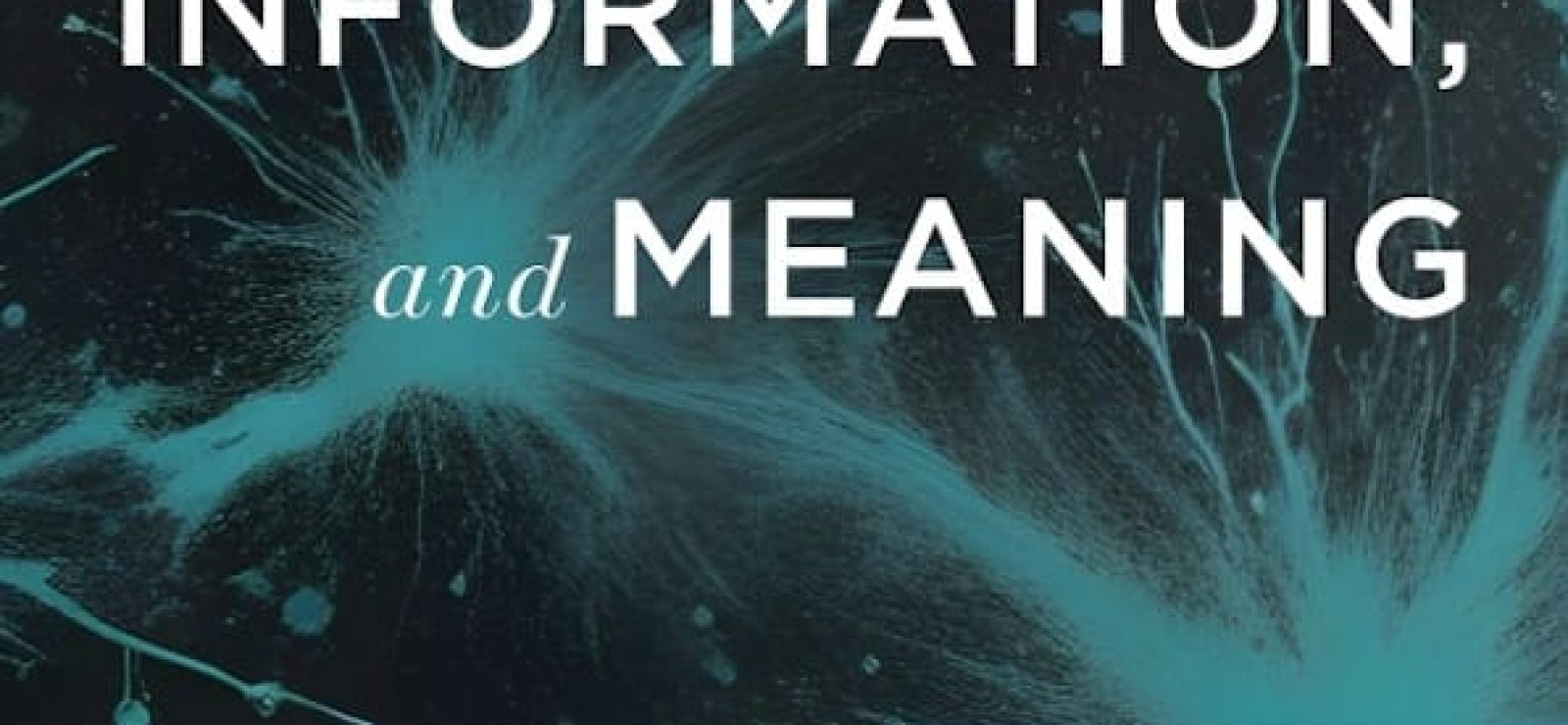 Physics, Information, and Meaning: How Nature Creates Complexity, Purpose, and Values by David E. Conner