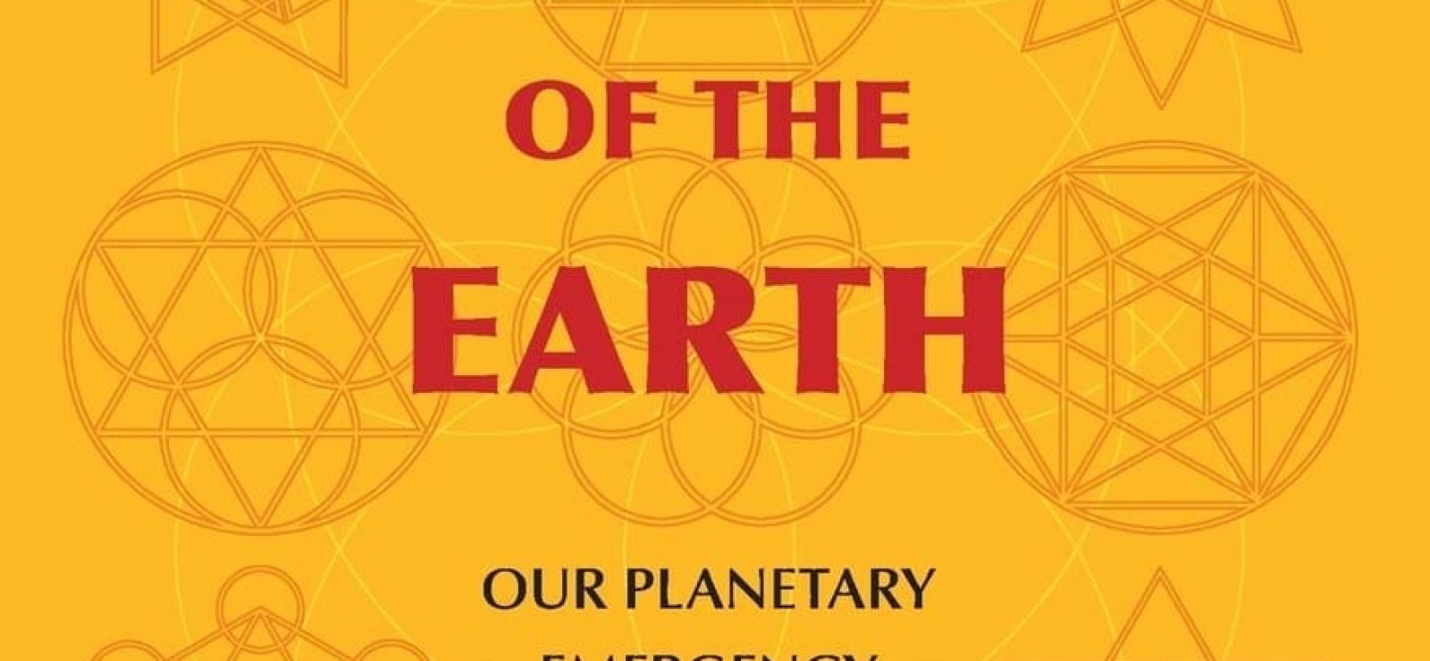 Political Theology of the Earth: Our Planetary Emergency and the Struggle for a New Public