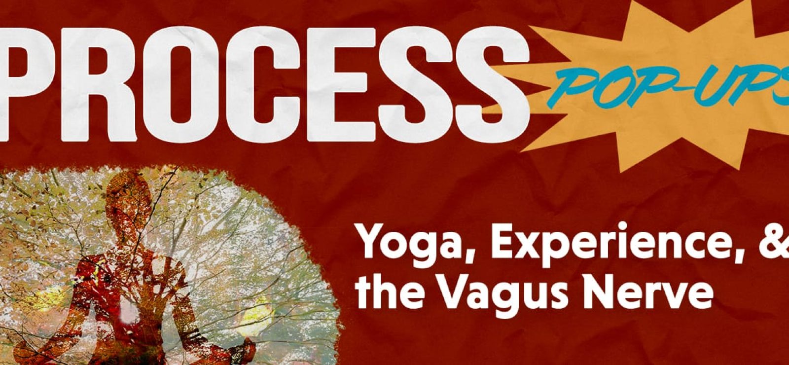 Yoga, Experience, and the Vagus Nerve with Leslie King - Process & Faith - Center for Process Studies