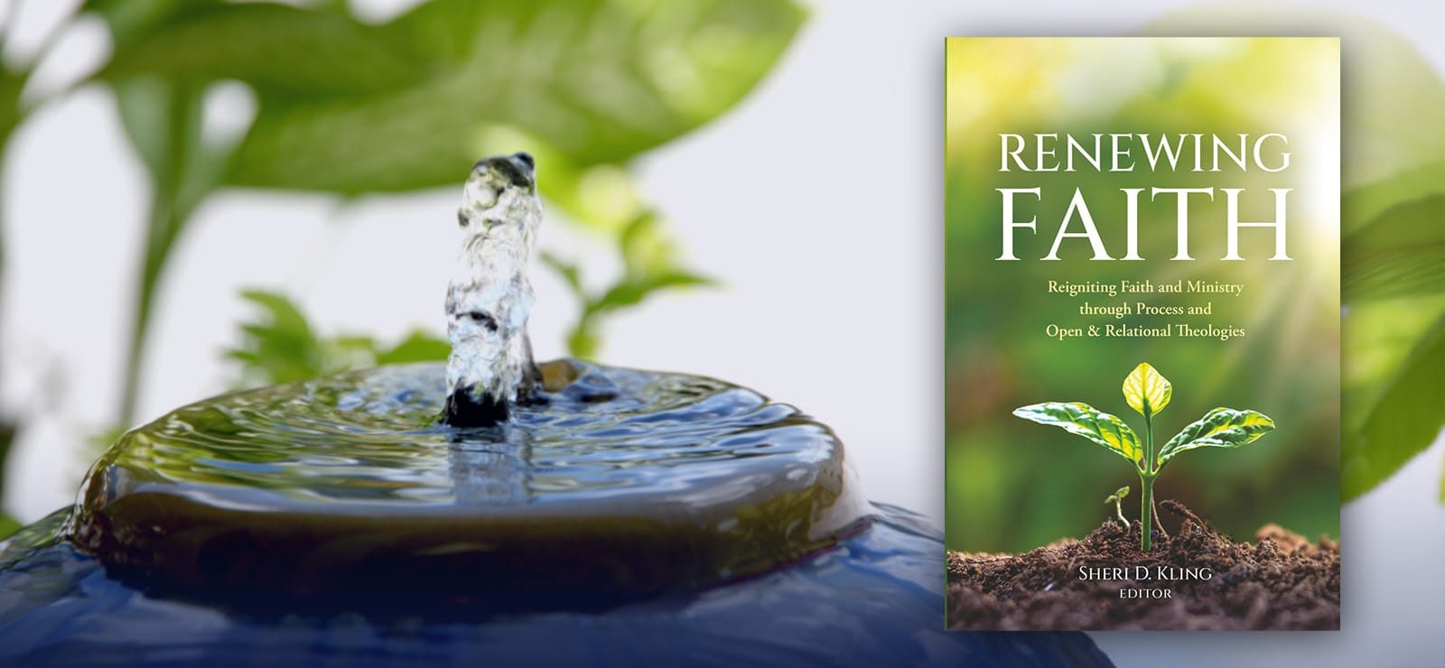 Special Event | Renewing Faith: Reigniting Faith and Ministry through Process and Open & Relational Theologies