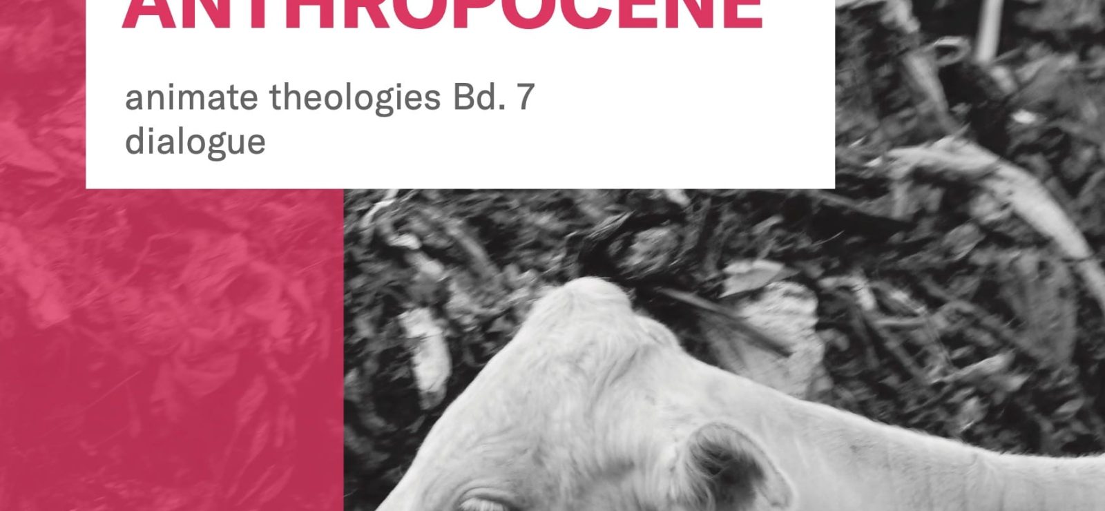 Rethinking Theology in the Anthropocene by Andreas Krebs (editor)