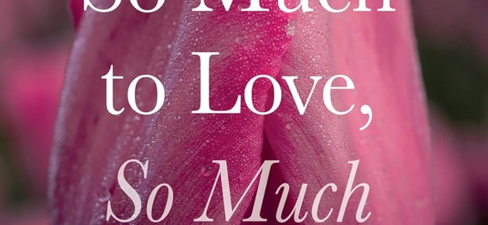 So Much to Love, So Much to Lose by Mary Elizabeth Moore