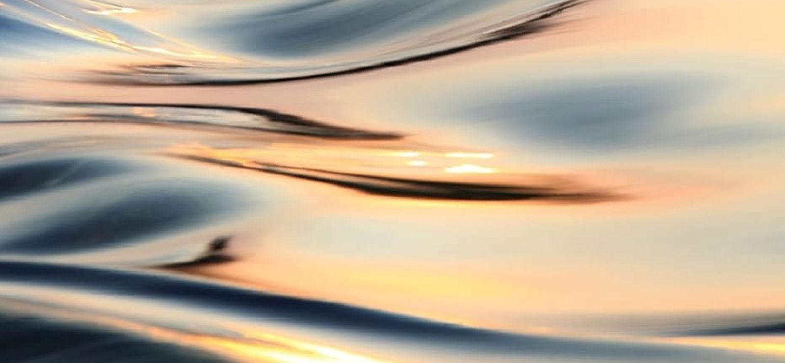 Starting with Whitehead: Raising Children to Thrive in Treacherous Times by Lynn Sargent De Jonghe