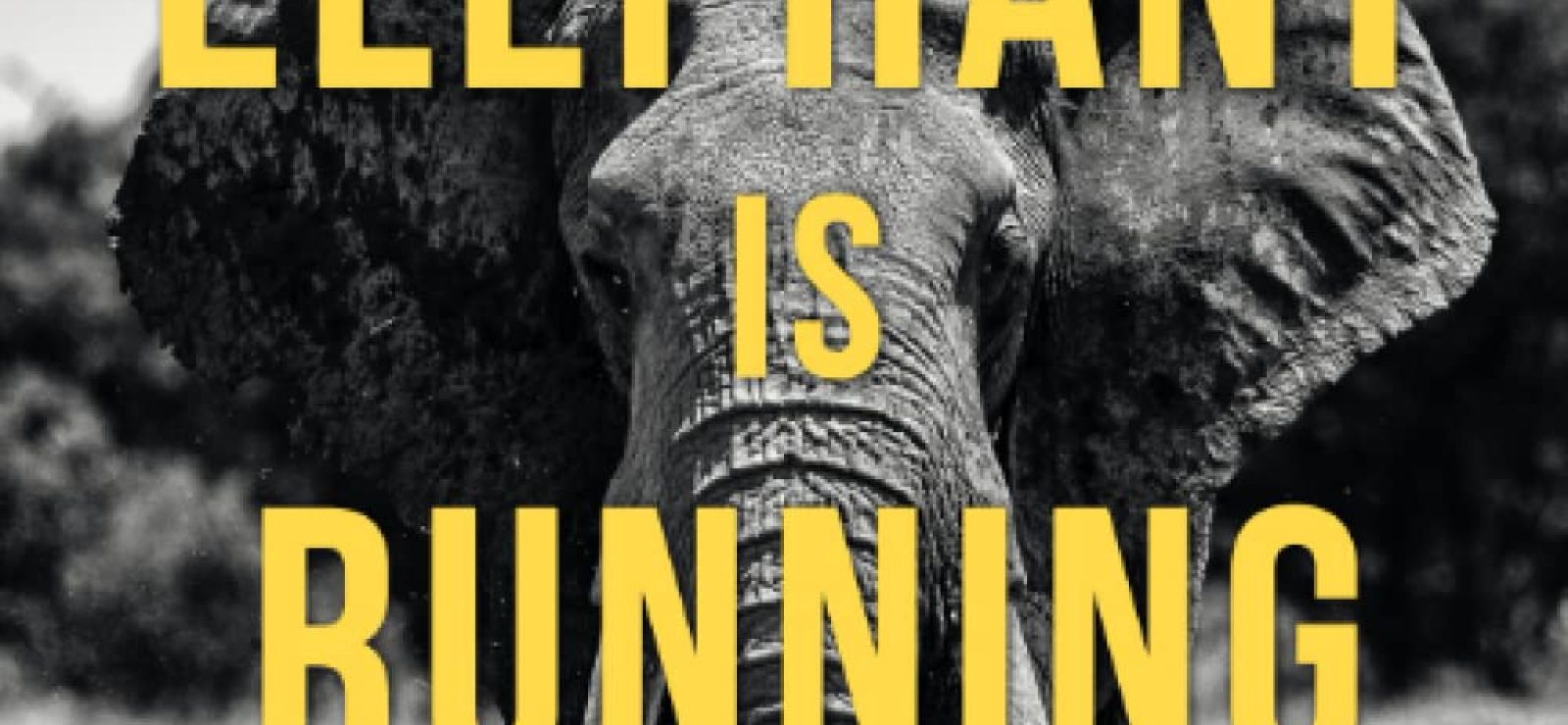The Elephant is Running Process and Open and Relational Theologies and Religious Pluralism