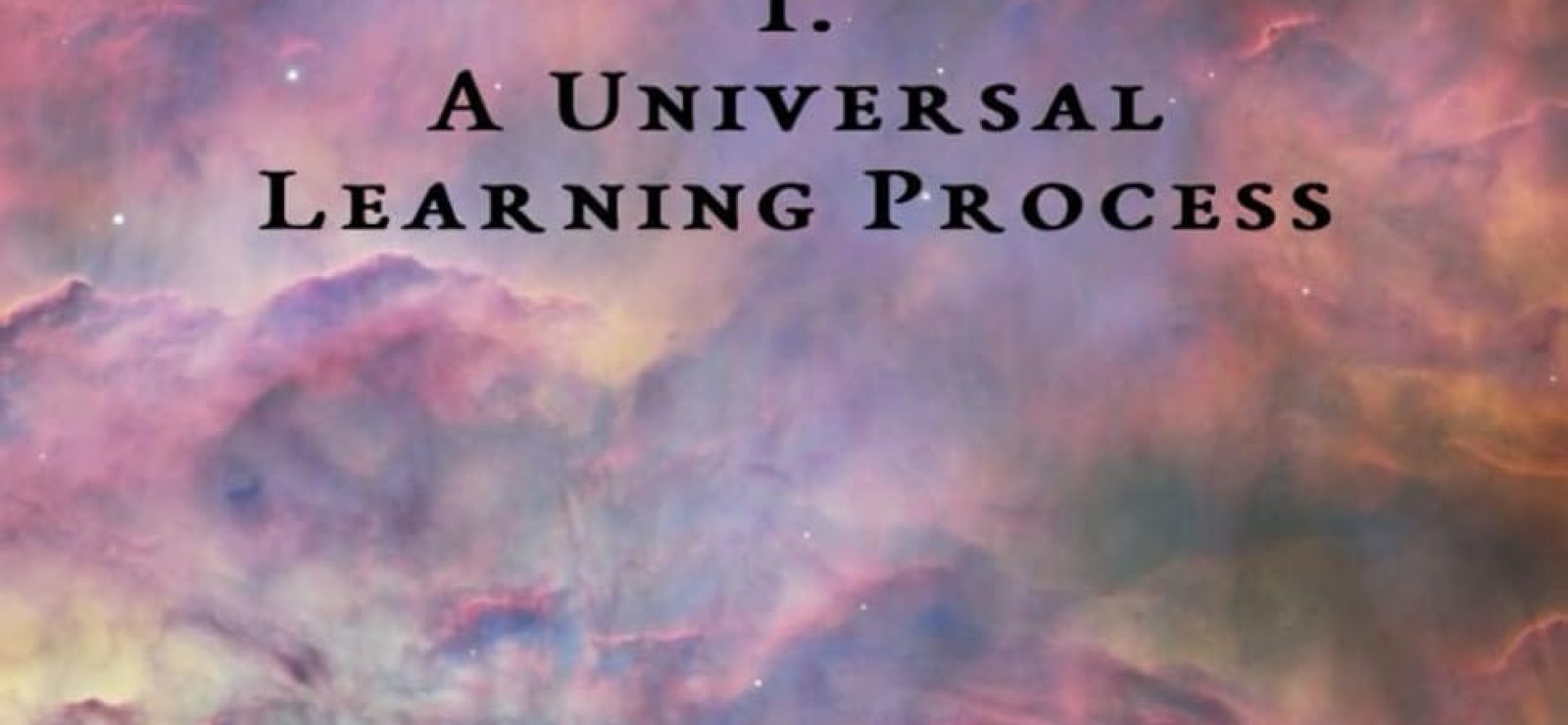 The Evolution of Meaning - A Universal Learning Process