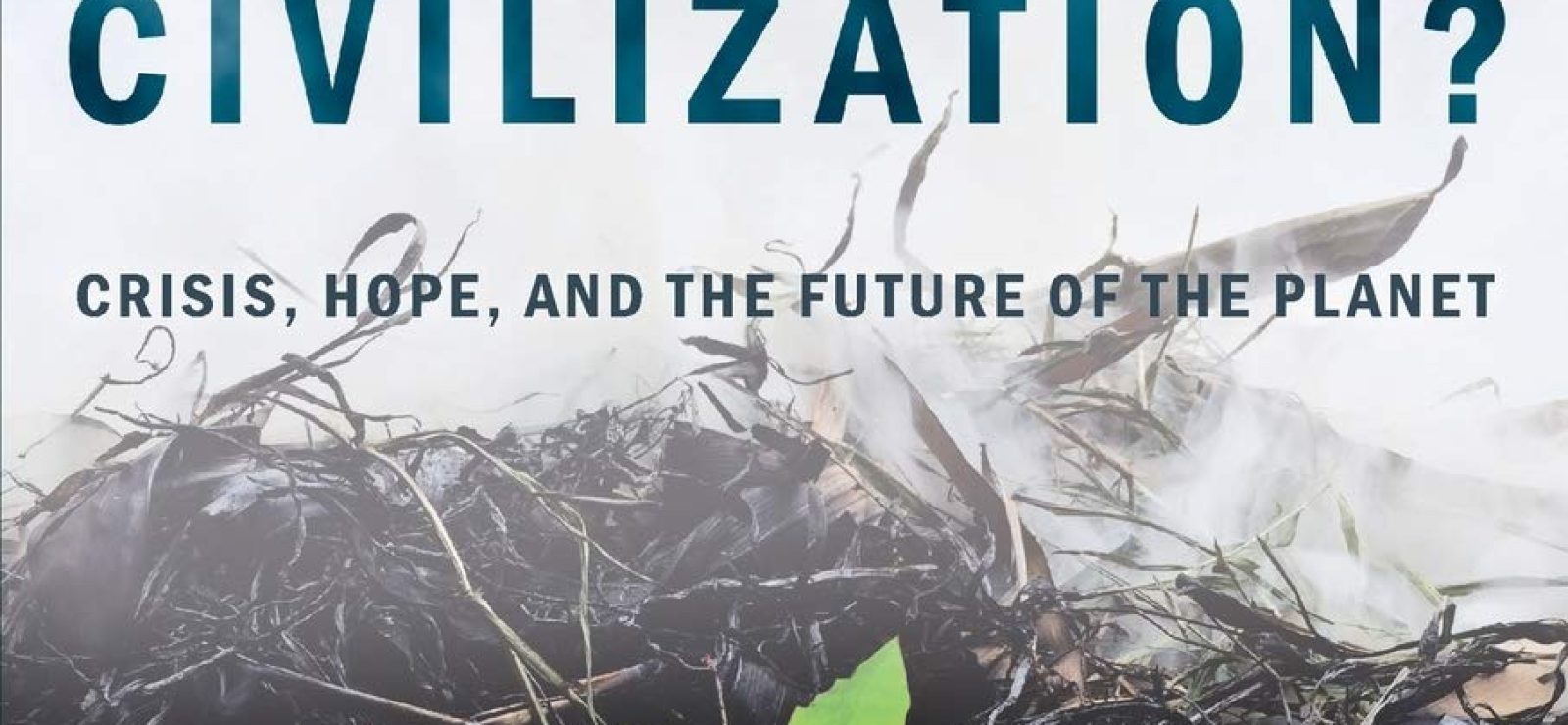 What Is Ecological Civilization? Crisis, Hope, and the Future of the Planet