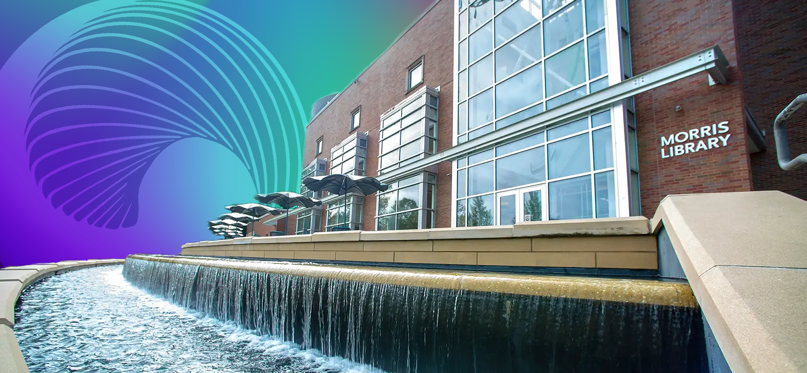 The library and archives of the Center for Process Studies has a new physical home at Southern Illinois University in Carbondale, Illinois.